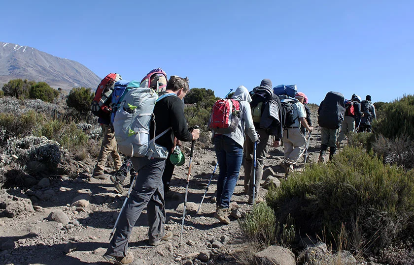 Group climbing Kilimanjaro Marangu Route with hut accommodation