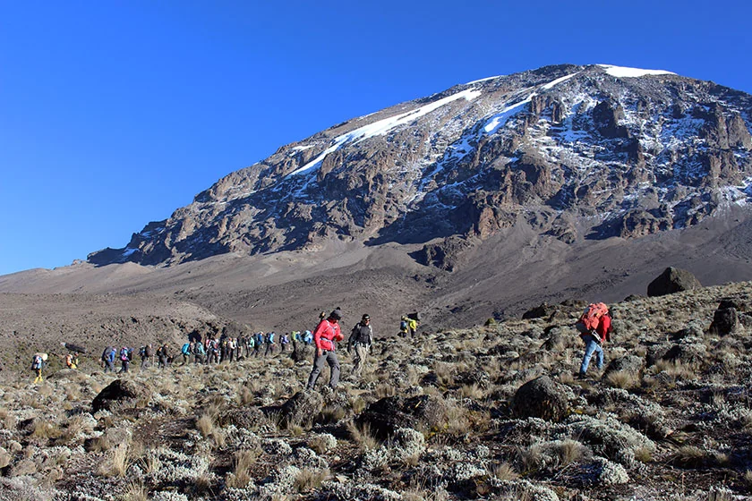 Kilimanjaro snow-capped summit crown above clouds at sunrise, Rongai northern approach
