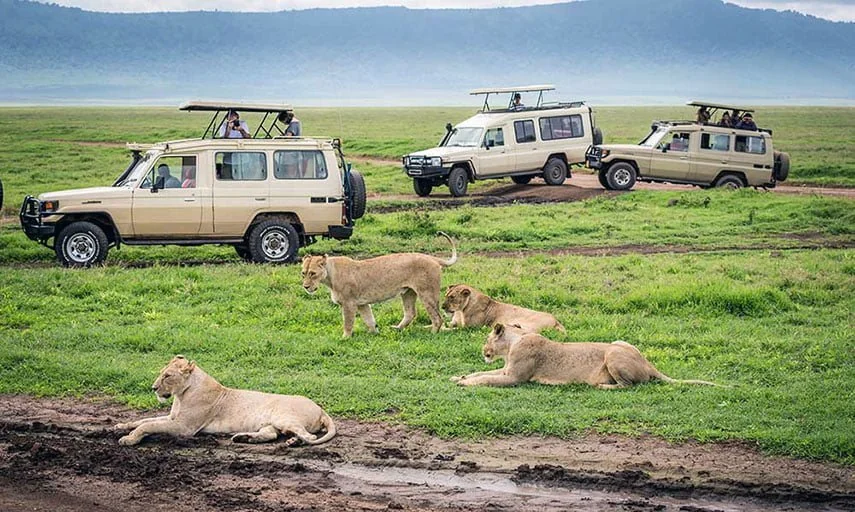Ngorongoro Crater