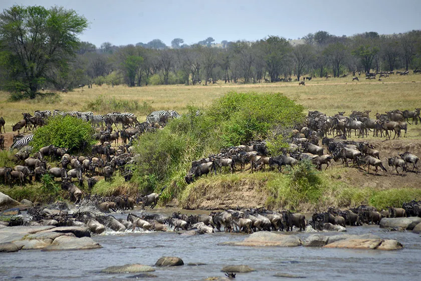Serengeti endless plains during 7-day Great Migration safari Tanzania