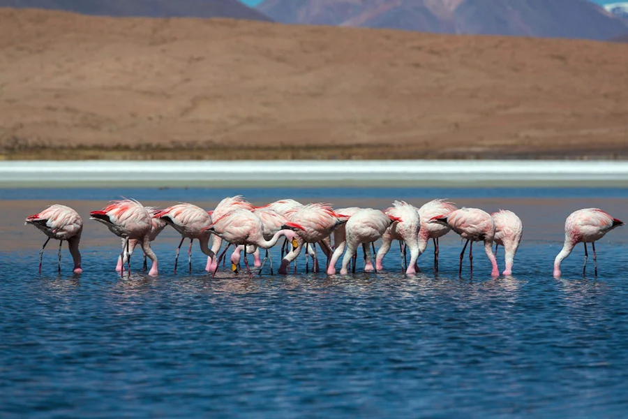 Lake Manyara