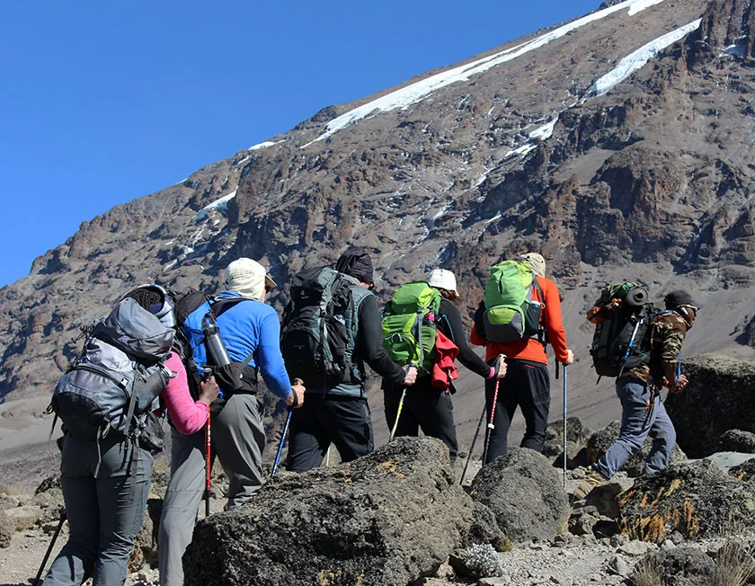 Lemosho Route - Most scenic path with excellent acclimatization profile.