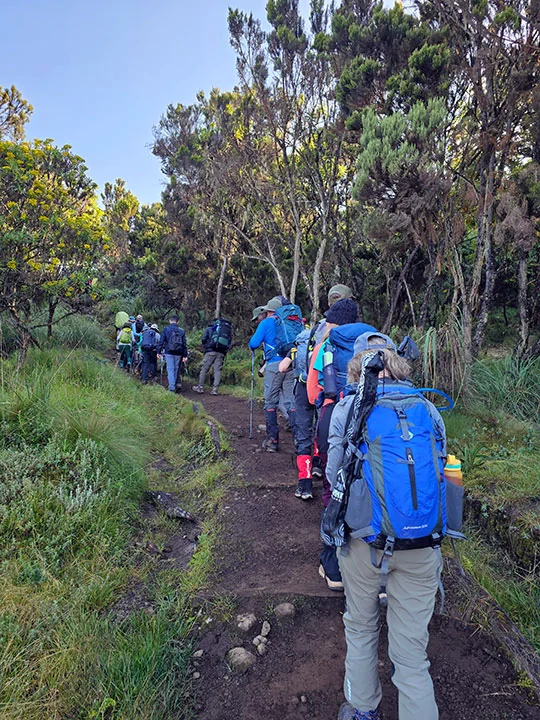 Day two Machame to Shira Cave