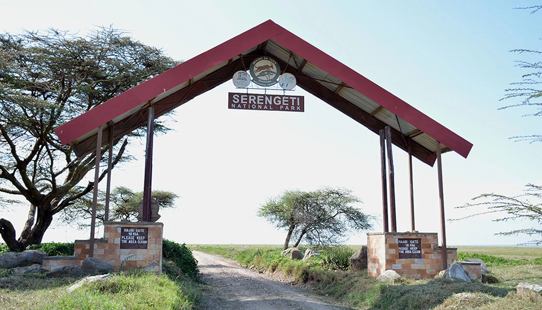 Tanzania Safari 2026–2028: Complete Planning Guide