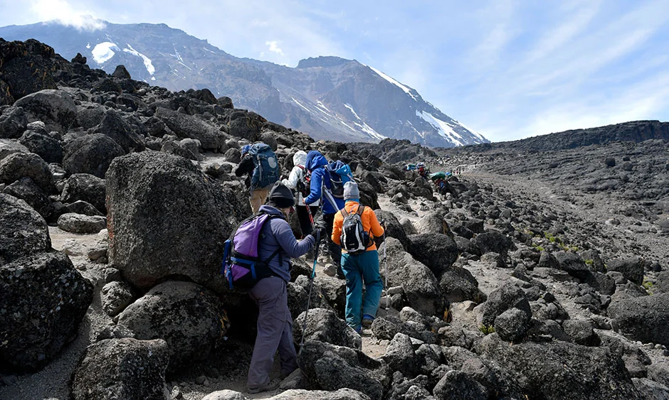 Junction between Lemosho route and Machame route