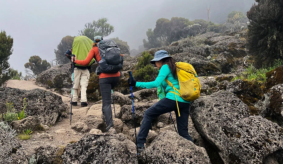 Machame Route on Kilimanjaro