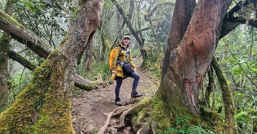 Machame route from gate to camp