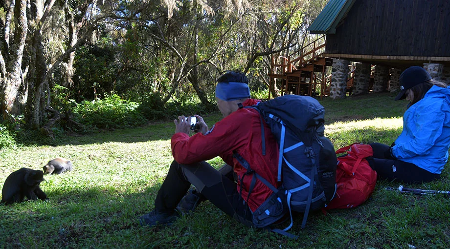 Marangu Route - Only route with hut accommodation.