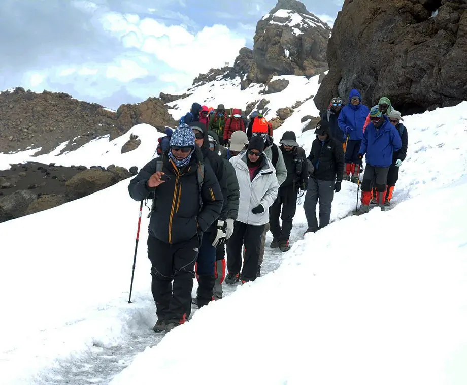Mount Kilimanjaro Success Rate: What Are Your Real Chances of Reaching the Summit?