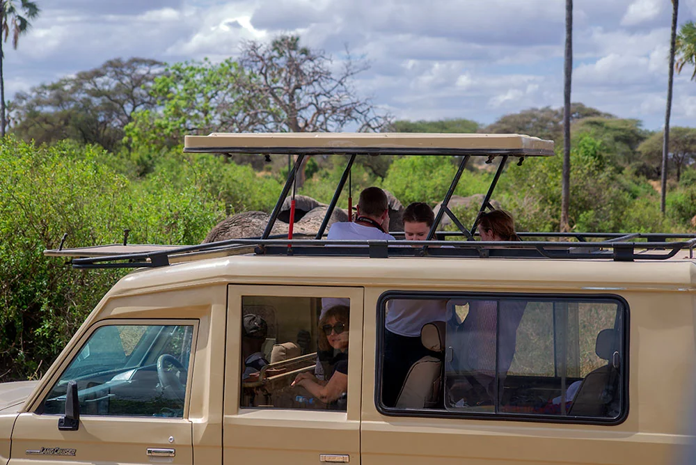Tanzania safari landscape with wildlife on the plains
