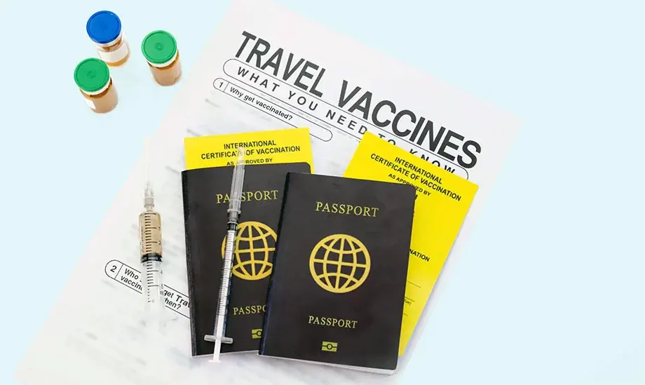 Travel vaccination preparation for Tanzania
