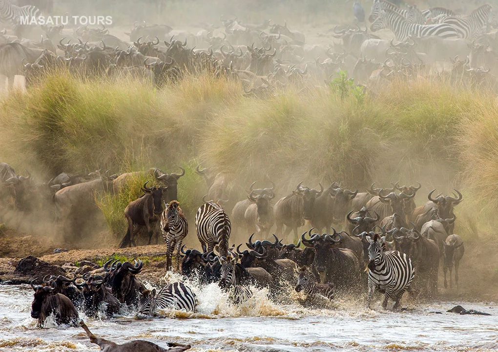 Serengeti Migration Month-by-Month Guide