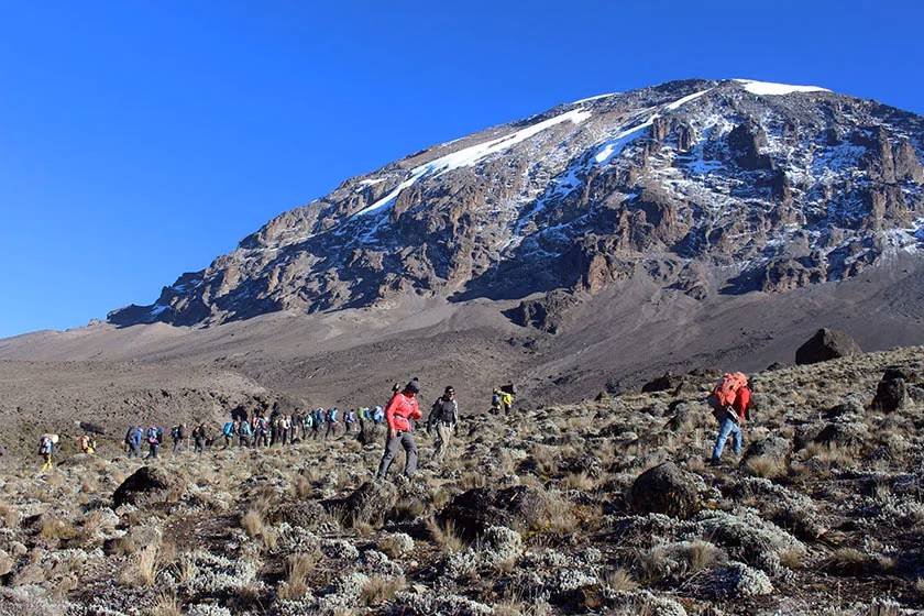 Mount Kilimanjaro snow-capped summit crown rising above clouds at sunrise