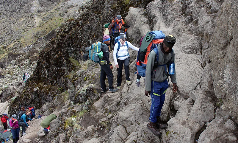 Climbers ascending the Barranco Wall on Kilimanjaro