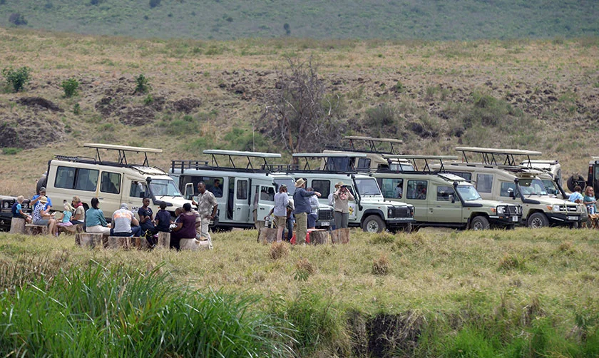 A safari vehicle on a game drive with a pop-up roof for viewing wildlife