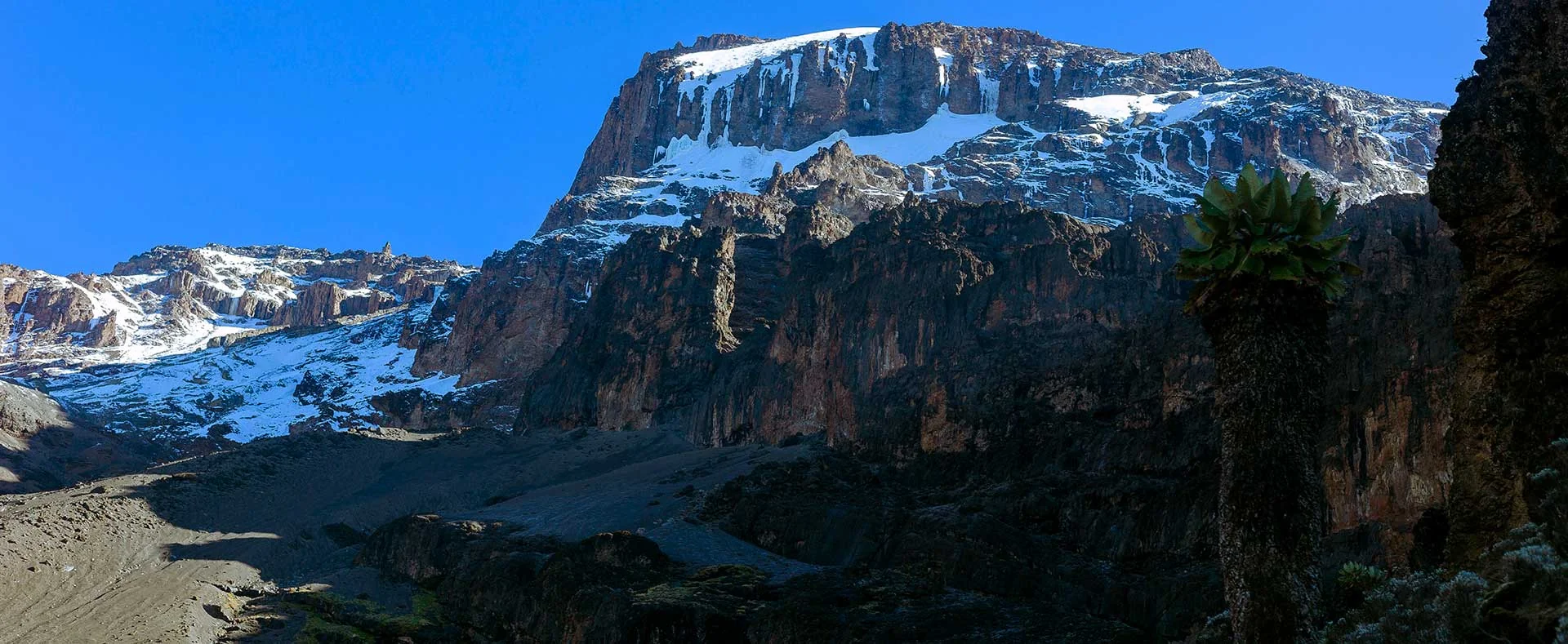 The vast high-altitude terrain of the Lemosho route