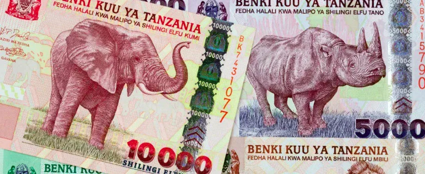 Tanzanian Shilling banknotes and US dollars, currency in Tanzania travel tips