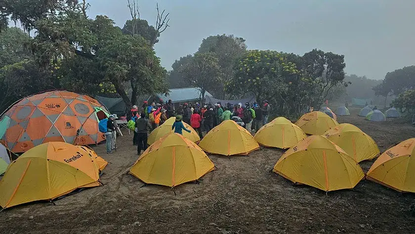 Machame route day one, contact Masatu Tours