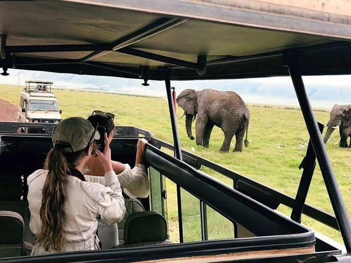Tarangire National Park elephant herds and Ngorongoro Crater Tanzania