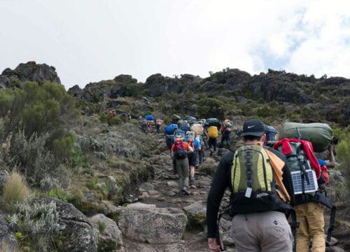 How to Prepare for Climbing Kilimanjaro