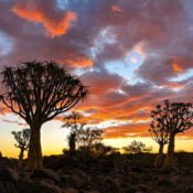 The best time to experience the Serengeti's