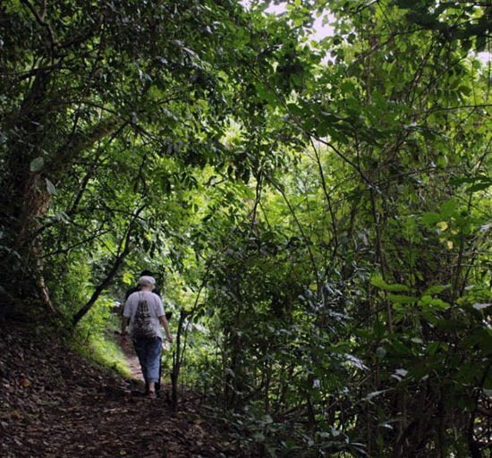 Lake Duluti Nature Walk Day Trip