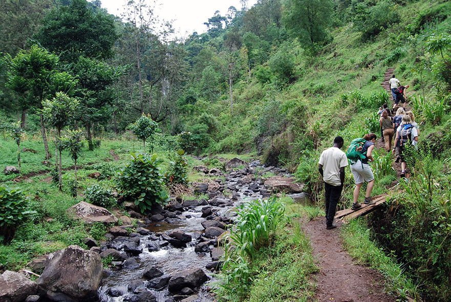 Materuni Water Falls Day Tour