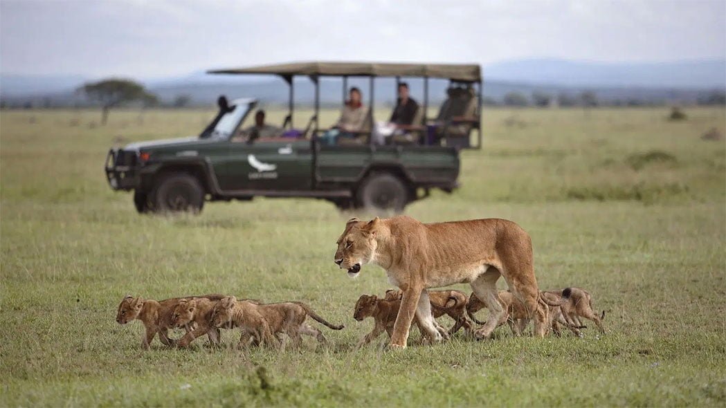 Tanzania Safari 2 Days