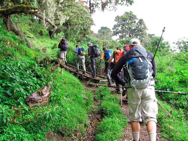 Mount Meru Climbing 4 Days