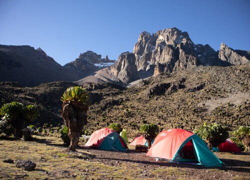 Kilimanjaro Climbing Trends 2025