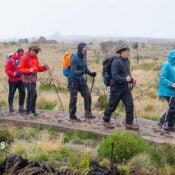 LEMOSHO – THE BEST ROUTE TO CLIMB KILIMANJARO