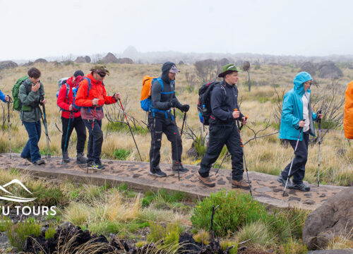 Lemosho – The Best Route To Climb Kilimanjaro