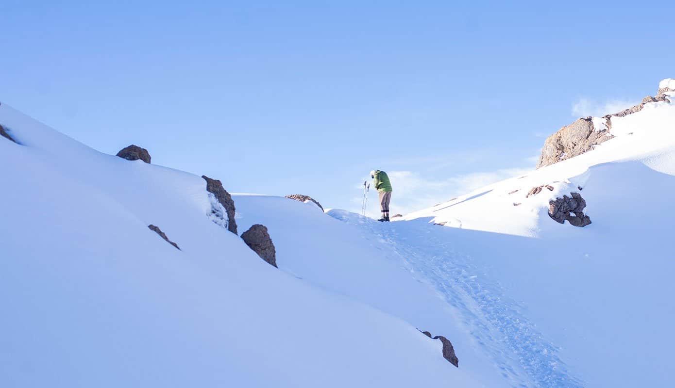 The Climate Zones of Mount Kilimanjaro