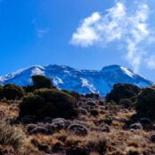 Climbing Kilimanjaro: What’s It Like?