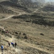 Food on Kilimanjaro