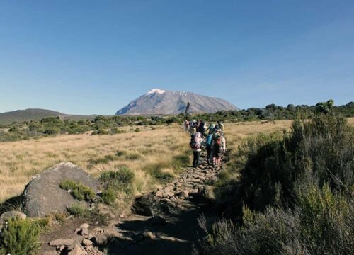 How to Prepare for Kilimanjaro Climb: A Complete Guide