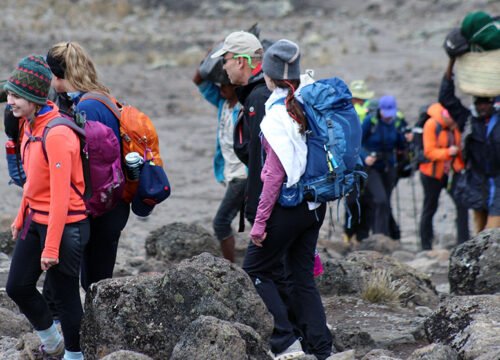 Kilimanjaro Climbing Packages: