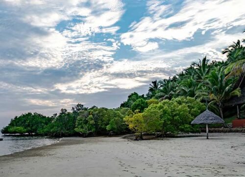 Mafia Island Diving Trips: Explore an Underwater Paradise