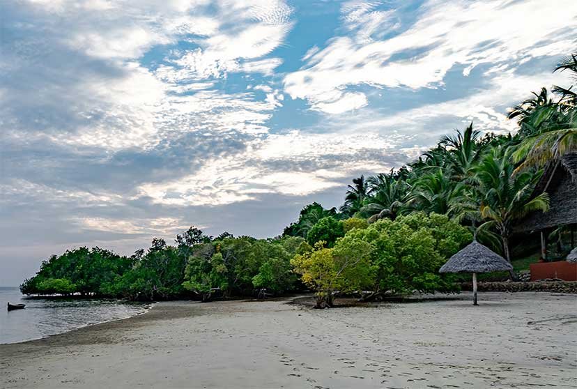 Mafia Island Diving Trips